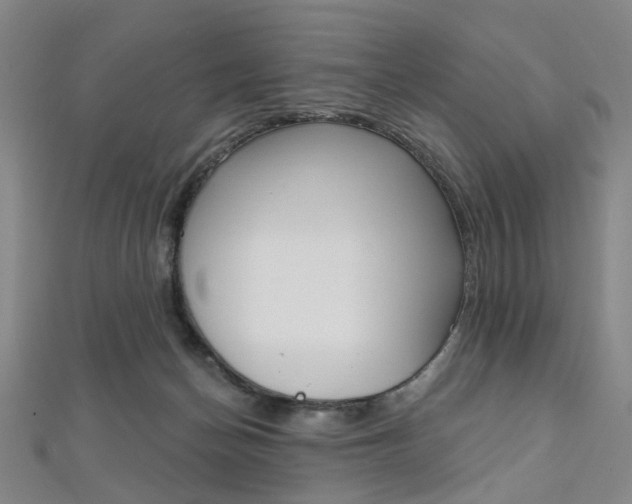X0000112060174200908041018