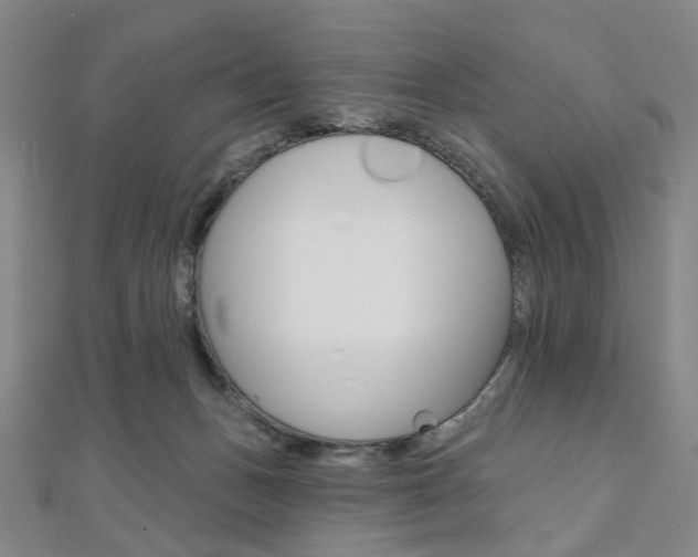 X0000112060175200908041018