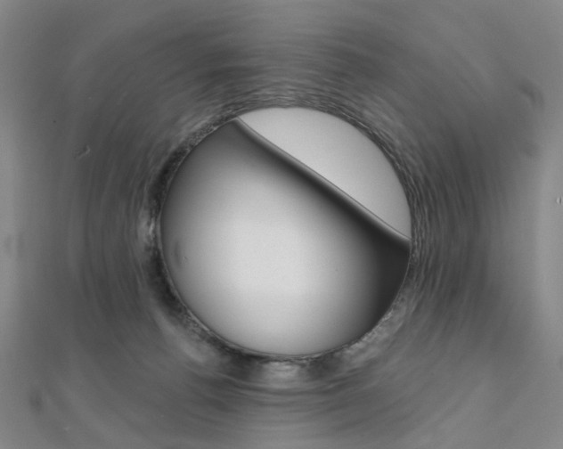 X0000112060176200908041018