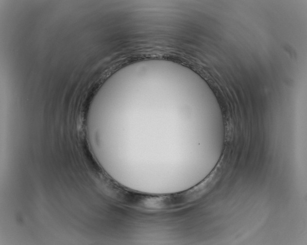 X0000112060178200908041018