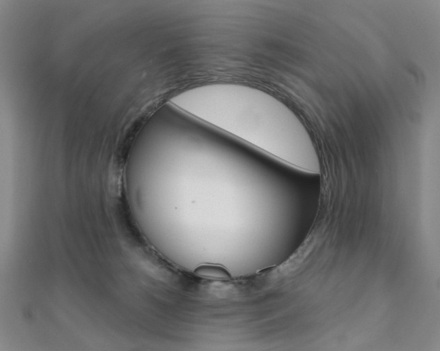 X0000112060180200908041018