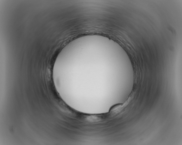 X0000112060183200908041018