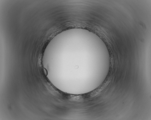 X0000112060185200908041018