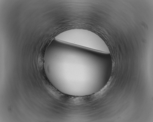 X0000112060186200908041018