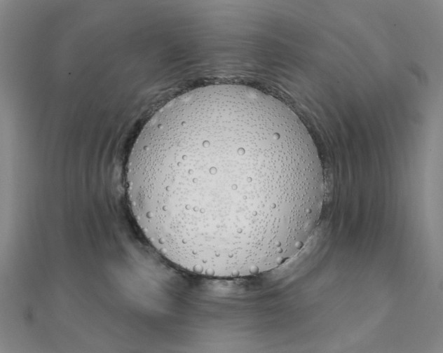 X0000112060187200908041019