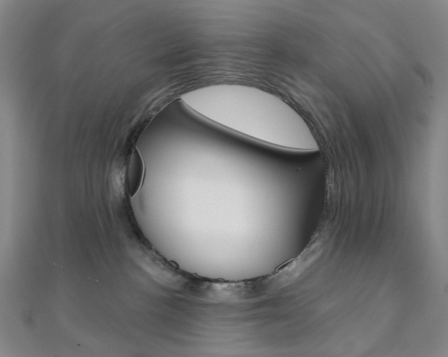 X0000112060188200908041019
