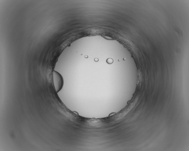 X0000112060189200908041019