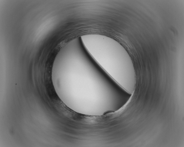 X0000112060190200908041019