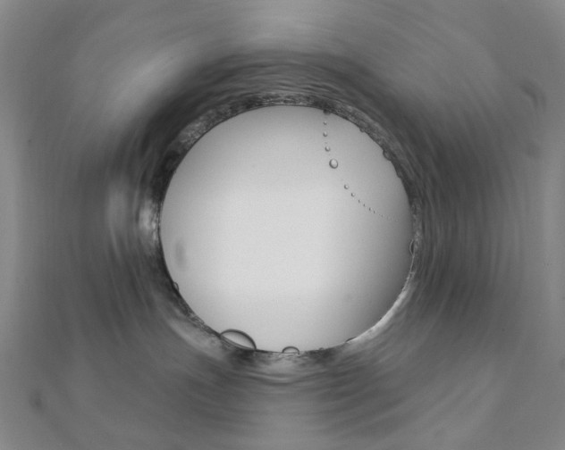 X0000112060191200908041019