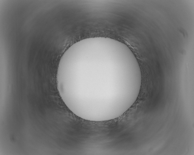 X0000112060192200908041019