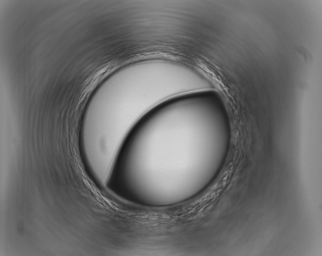X0000112060193200908041018