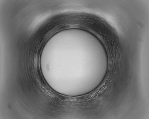 X0000112060194200908041018
