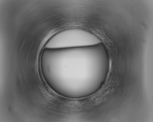 X0000112060195200908041018