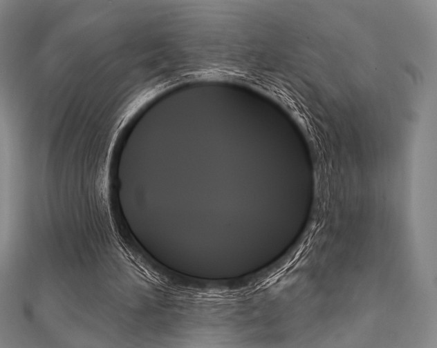 X0000112060196200908041018