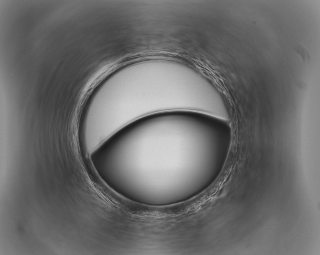 X0000112060197200908041018