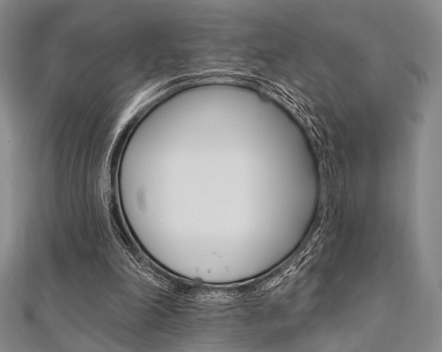 X0000112060198200908041018