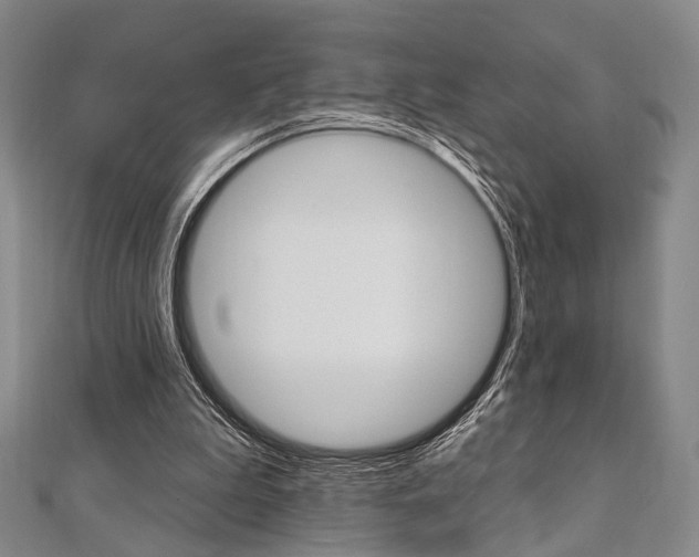 X0000112060199200908041018
