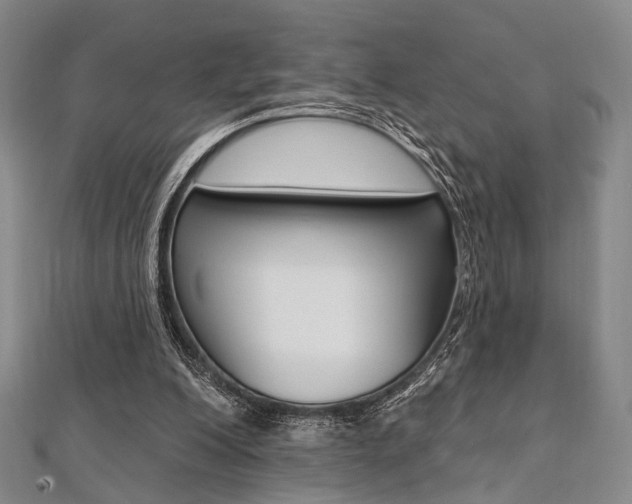 X0000112060200200908041018