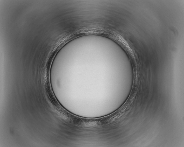 X0000112060202200908041018