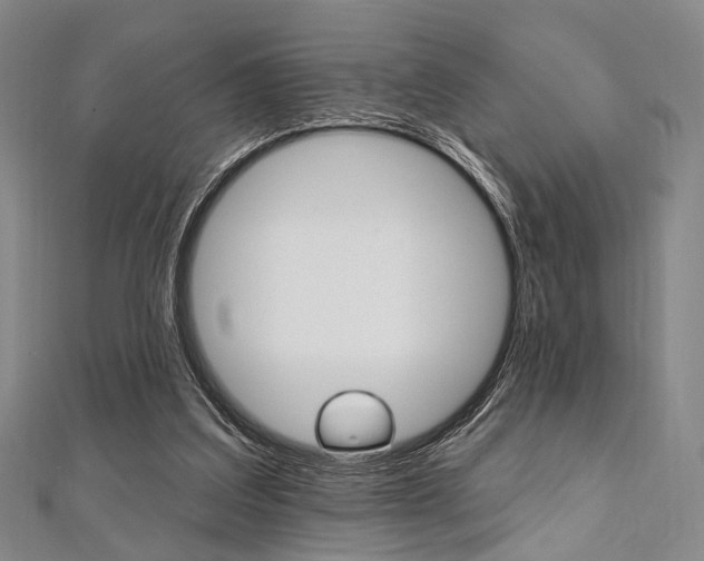 X0000112060203200908041018