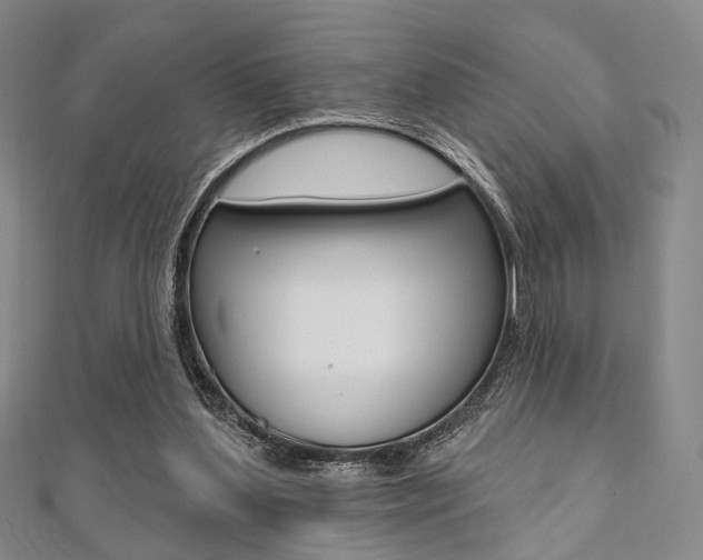 X0000112060204200908041018