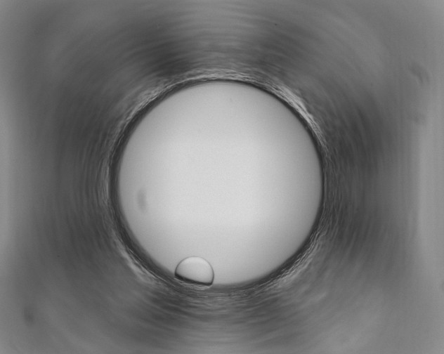 X0000112060205200908041018
