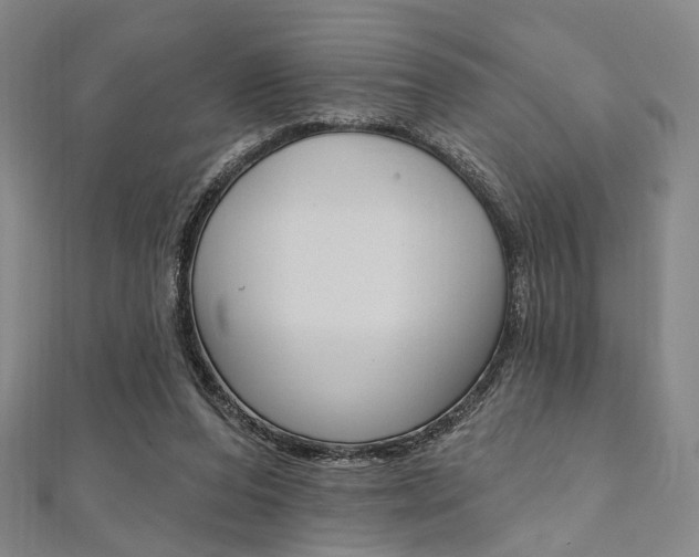 X0000112060208200908041018