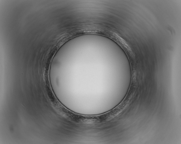 X0000112060209200908041018