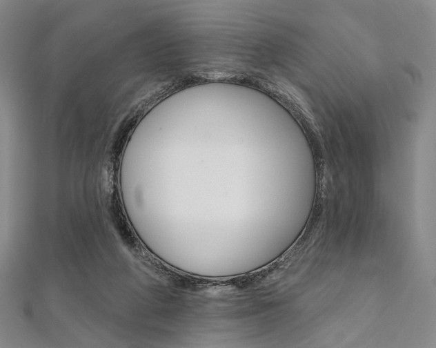X0000112060210200908041018