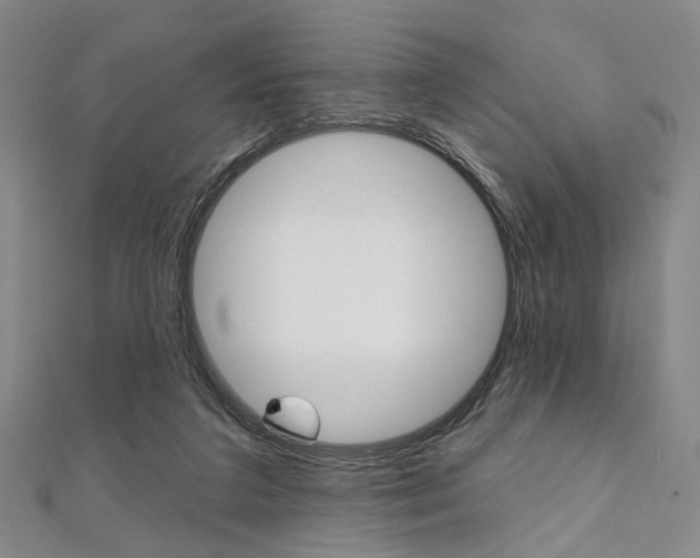 X0000112060211200908041018