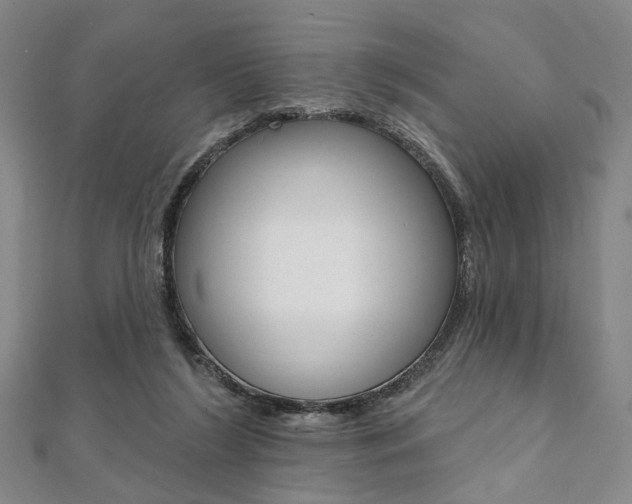 X0000112060212200908041018
