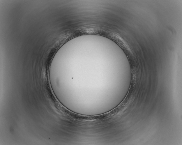 X0000112060213200908041018