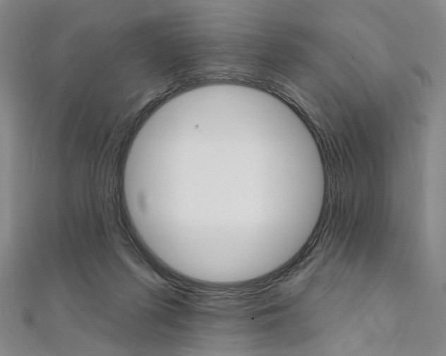 X0000112060215200908041018