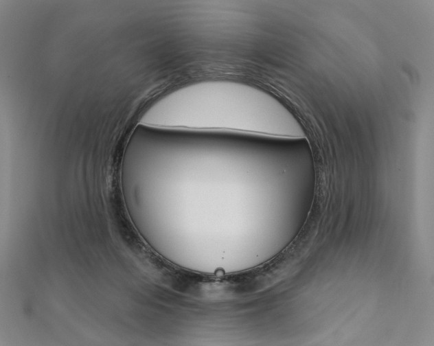 X0000112060216200908041017