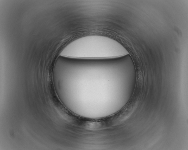 X0000112060220200908041017