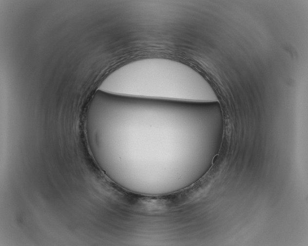 X0000112060221200908041017