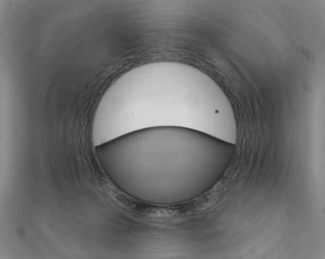 X0000112060223200908041017