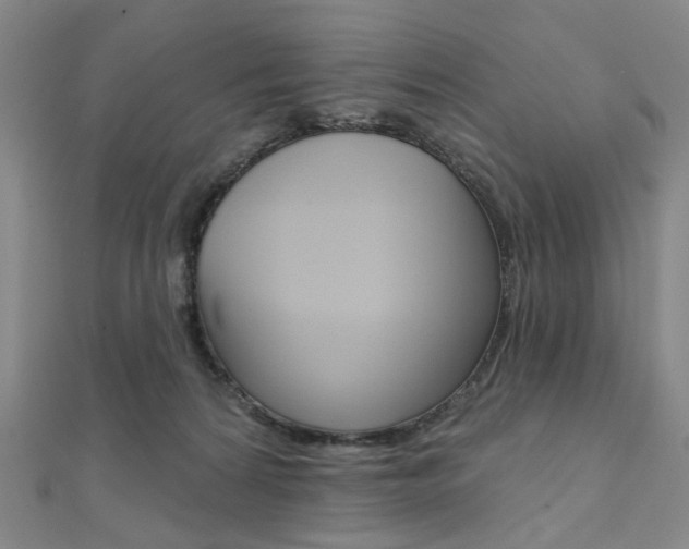 X0000112060224200908041017