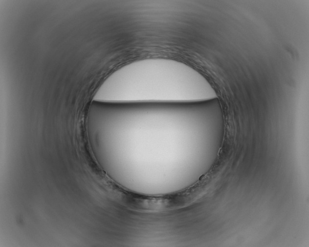 X0000112060225200908041017
