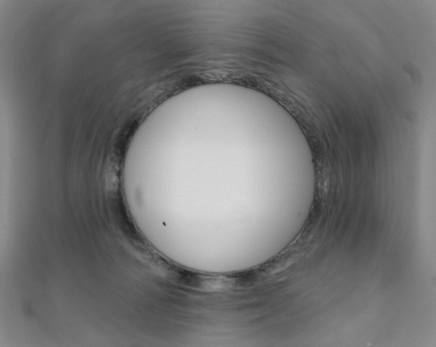 X0000112060226200908041017