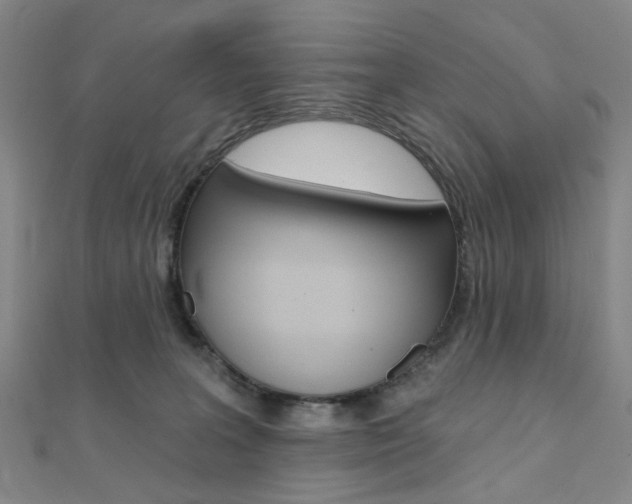 X0000112060227200908041017