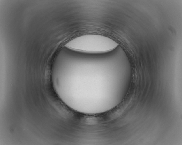 X0000112060228200908041017