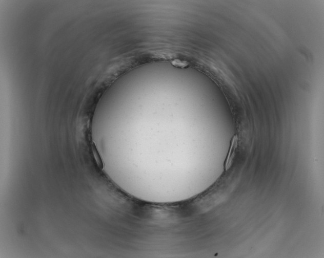 X0000112060229200908041017