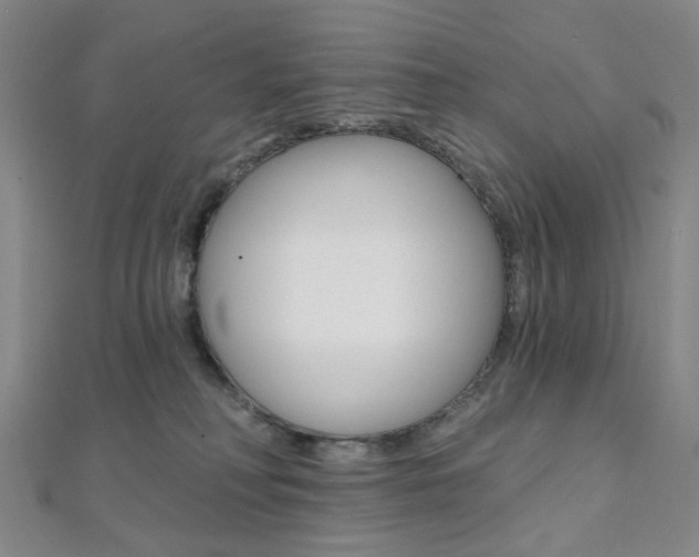 X0000112060230200908041017