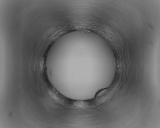 X0000112060231200908041017