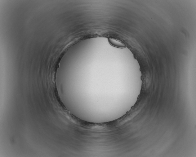 X0000112060236200908041017