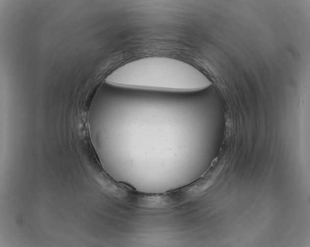 X0000112060237200908041017