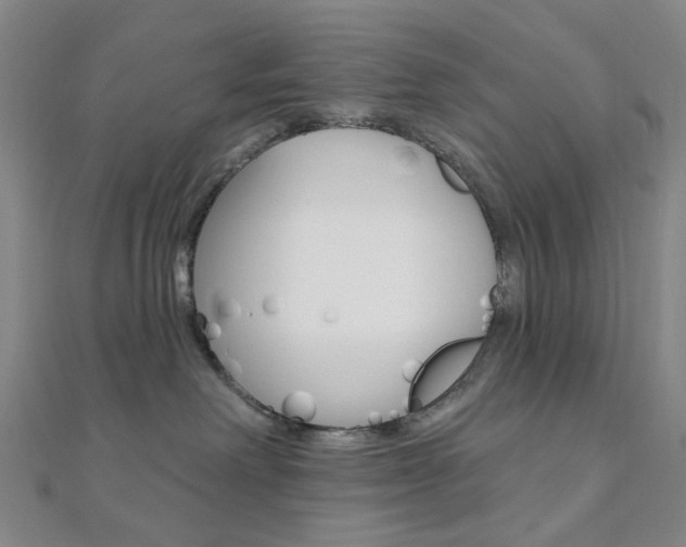 X0000112060238200908041017