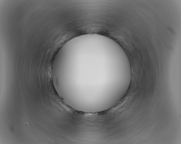 X0000112060240200908041017