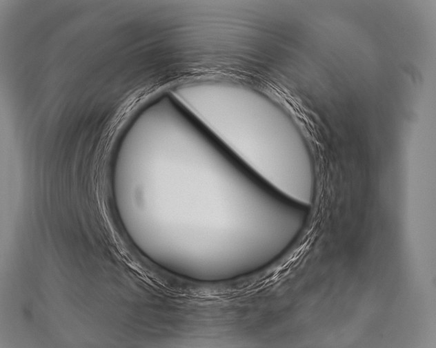 X0000112060241200908041017